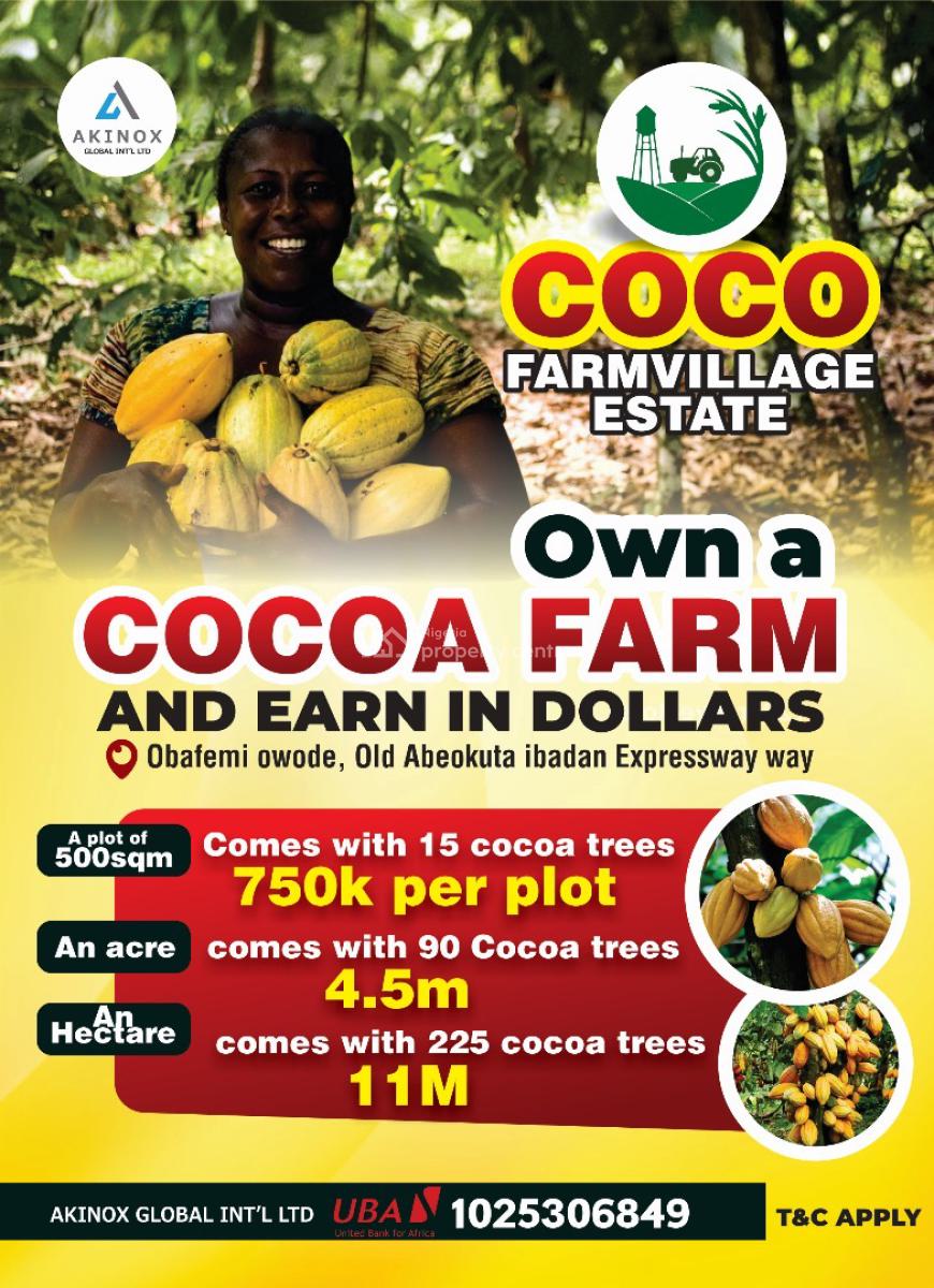 Coco Farm Village Estate, Owode, Ibadan, Oyo, Commercial Land for Sale
