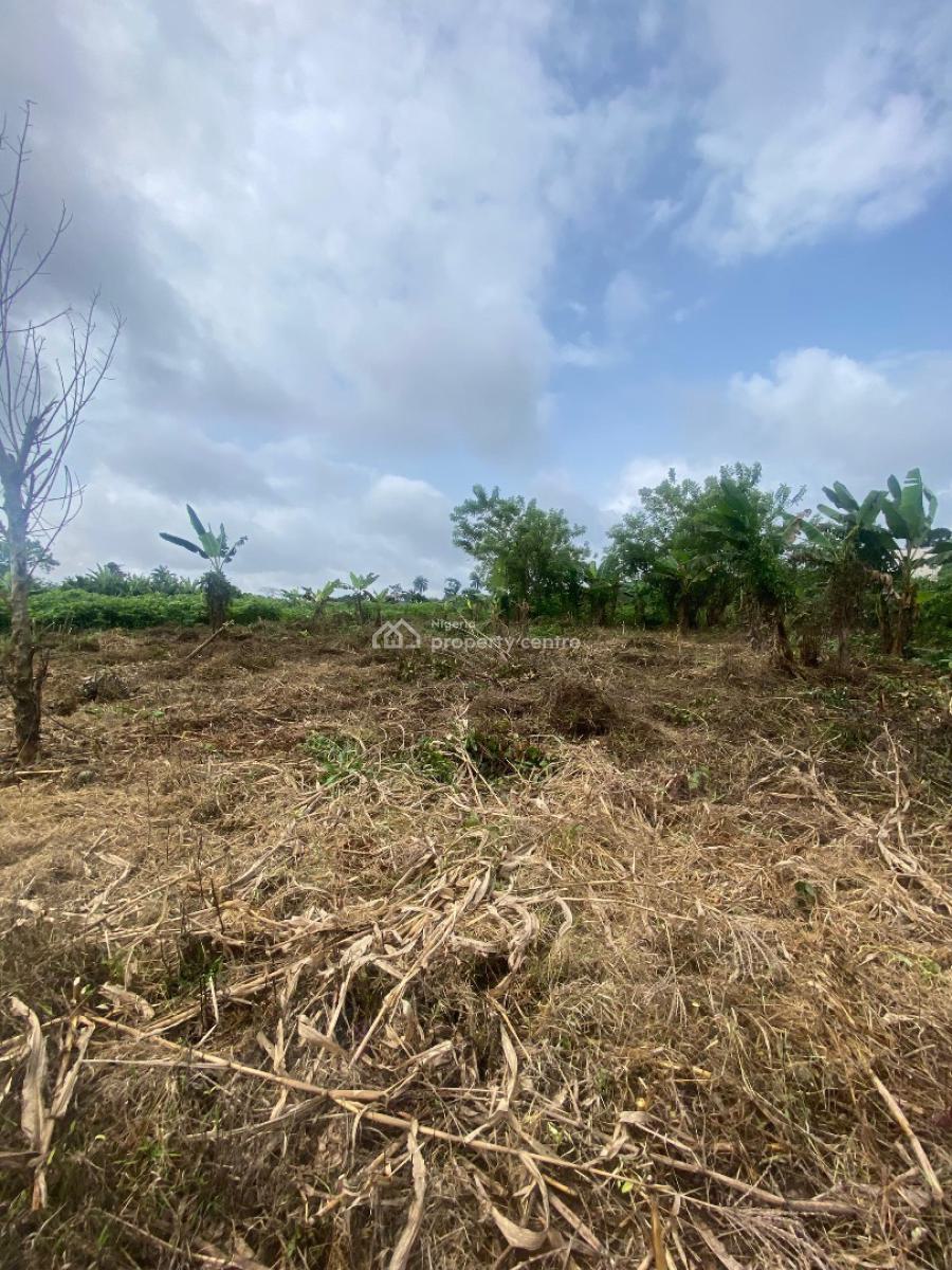 2 Plots of Land, Leading Edge Nursery &pry, Ibule, Akure, Ondo, Land for Sale