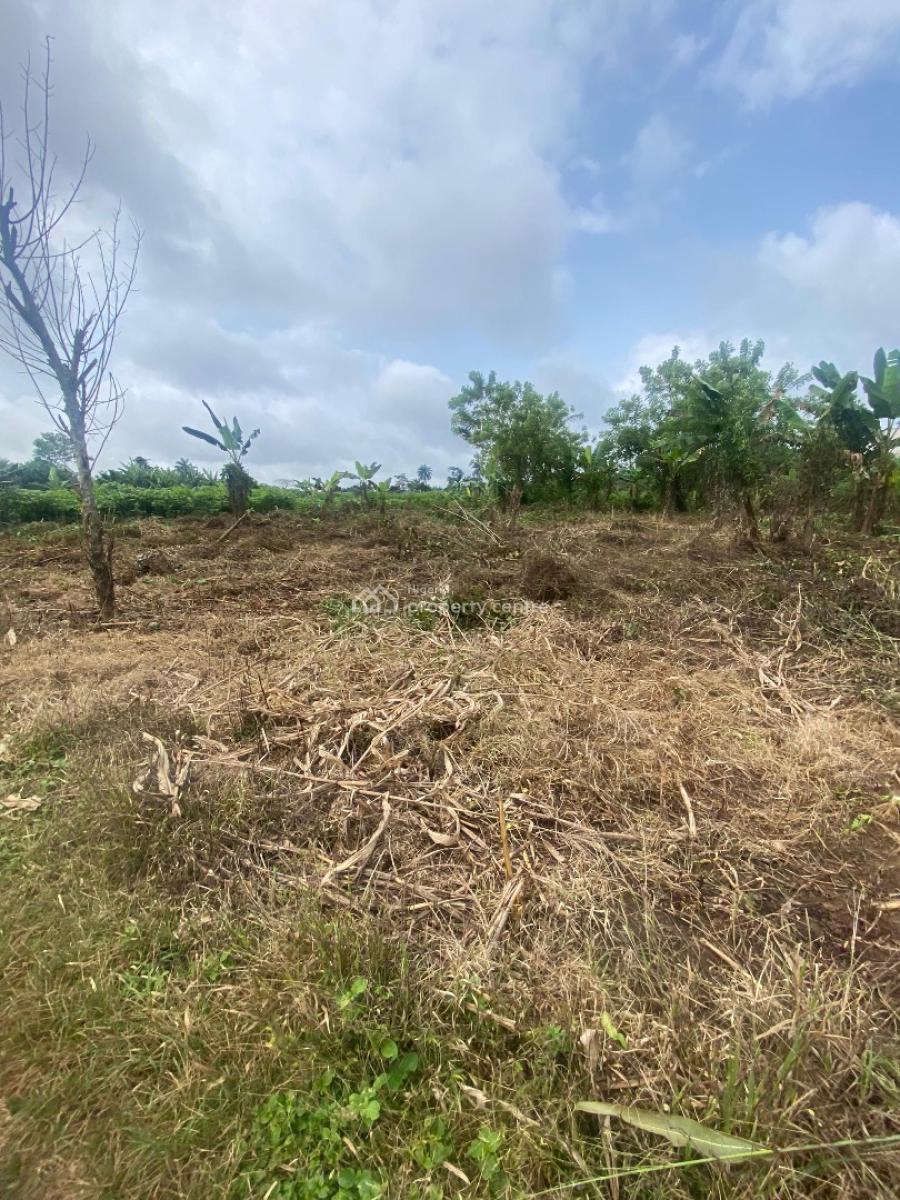 2 Plots of Land, Leading Edge Nursery &pry, Ibule, Akure, Ondo, Land for Sale