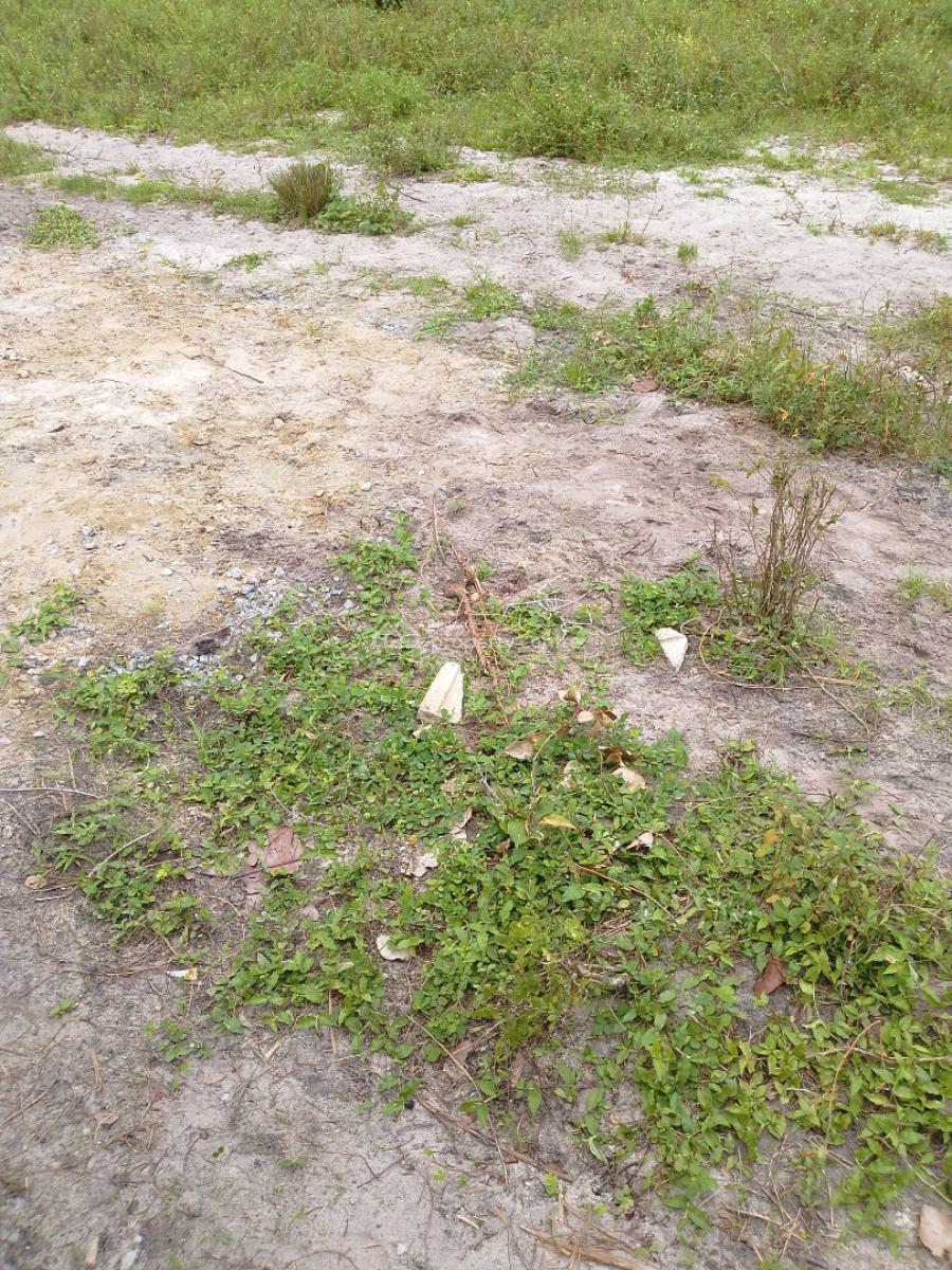 Premium Land with Government Approved Gazette, Okeogun, Ibeju Lekki, Lagos, Land for Sale