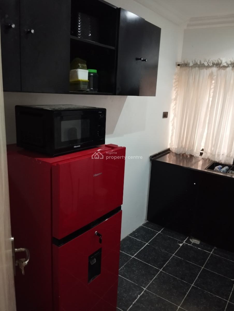 Exquisitely Furnished and Serviced 2 Bedrooms Apartment in Asokoro, Asokoro By Ecowas, Asokoro District, Abuja, Flat / Apartment for Rent
