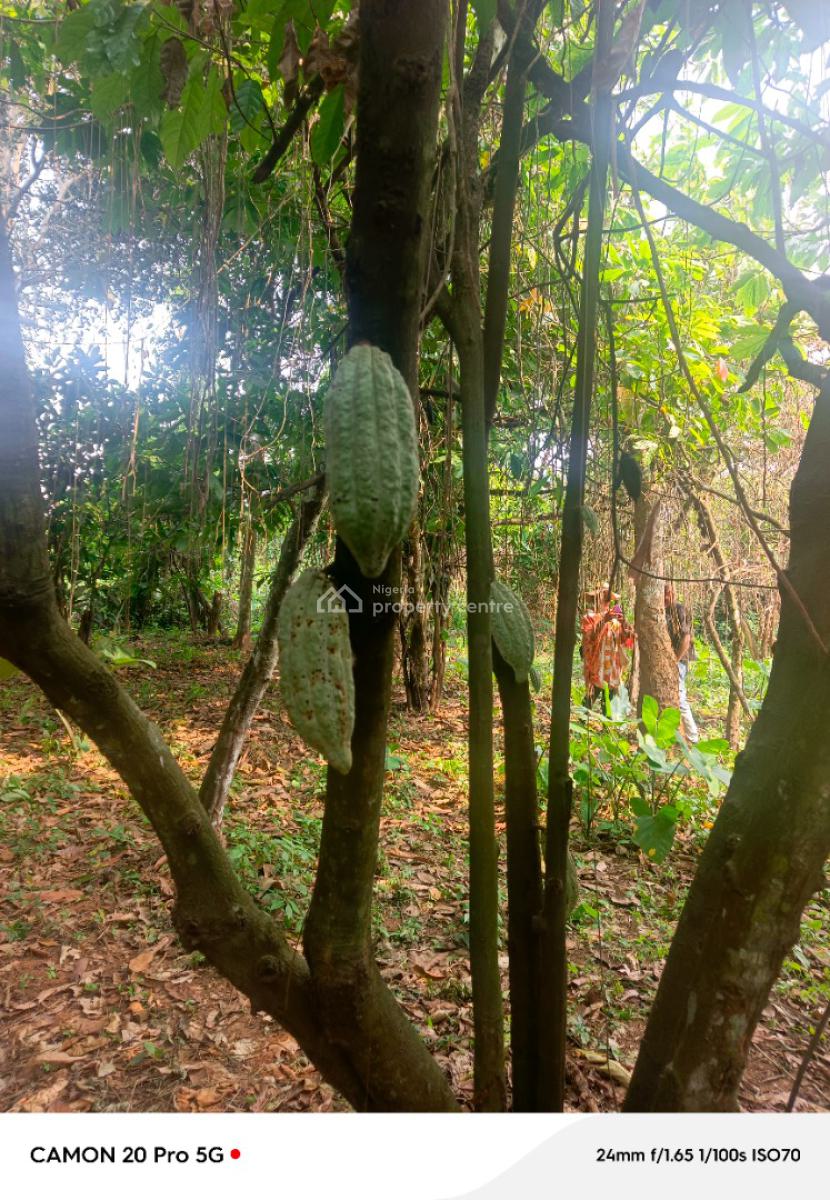 Land in a Prime Location with Flexible Payment Plan on Wealth Creation, Cocoa Farm Village Estate, Obafemi Owode, Ogun, Commercial Land for Sale