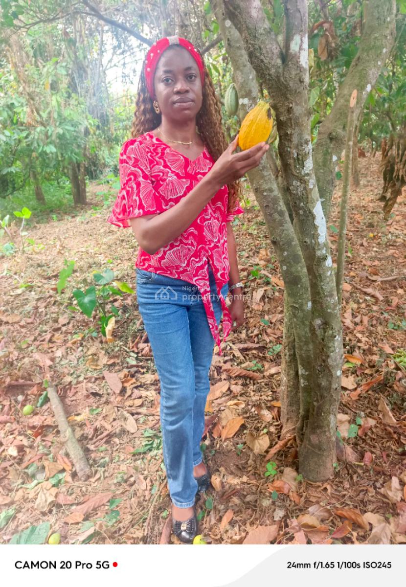 Land in a Prime Location with Flexible Payment Plan on Wealth Creation, Cocoa Farm Village Estate, Obafemi Owode, Ogun, Commercial Land for Sale