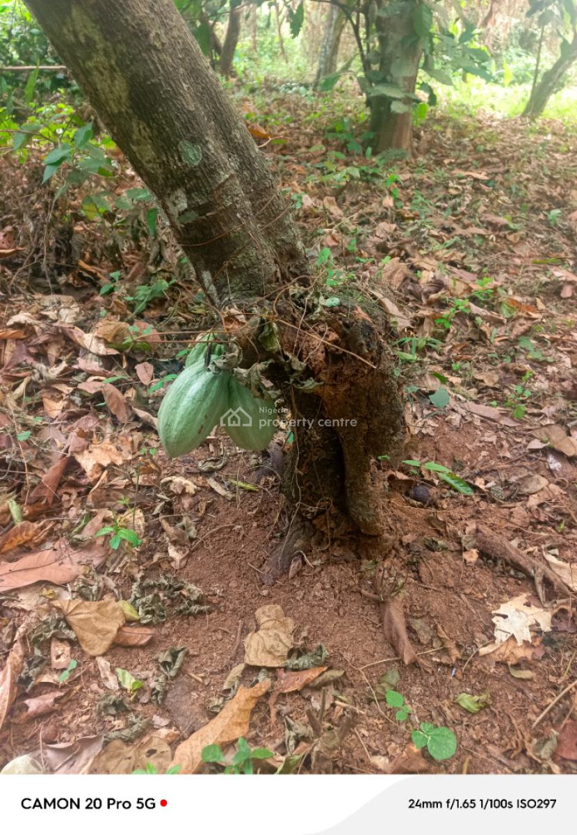 Land in a Prime Location with Flexible Payment Plan on Wealth Creation, Cocoa Farm Village Estate, Obafemi Owode, Ogun, Commercial Land for Sale
