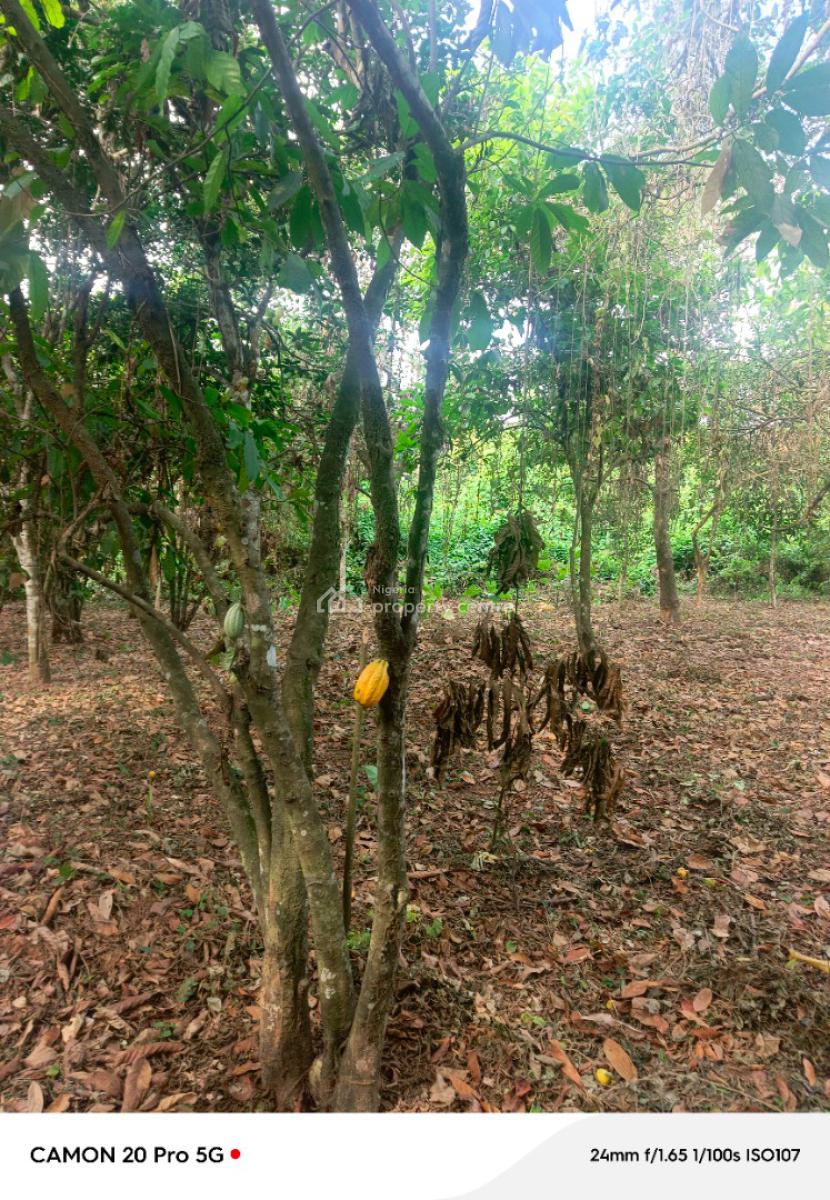 Land in a Prime Location with Flexible Payment Plan on Wealth Creation, Cocoa Farm Village Estate, Obafemi Owode, Ogun, Commercial Land for Sale