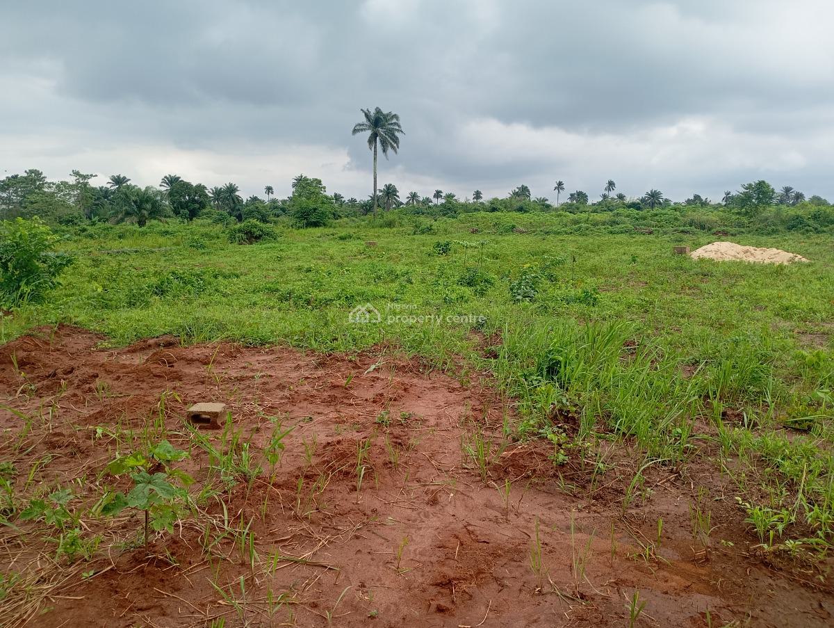 Step Into Your Dream Home Where Elegance and Serenity Come Together, Oshimili North Lga, Asaba, Delta, Residential Land for Sale