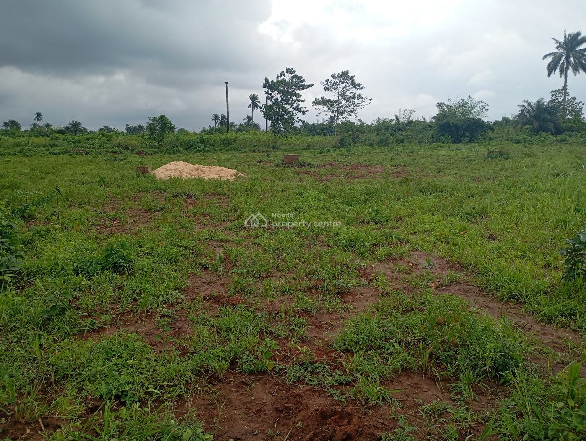 Step Into Your Dream Home Where Elegance and Serenity Come Together, Oshimili North Lga, Asaba, Delta, Residential Land for Sale