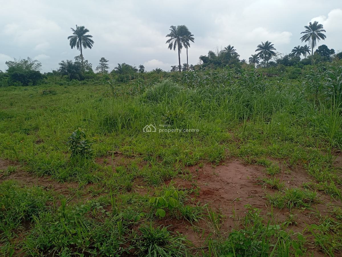Step Into Your Dream Home Where Elegance and Serenity Come Together, Oshimili North Lga, Asaba, Delta, Residential Land for Sale