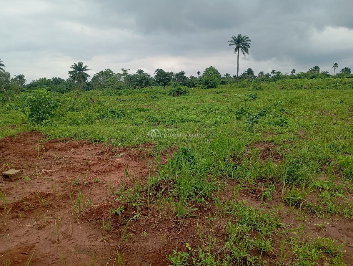 Step Into Your Dream Home Where Elegance and Serenity Come Together, Oshimili North Lga, Asaba, Delta, Residential Land for Sale