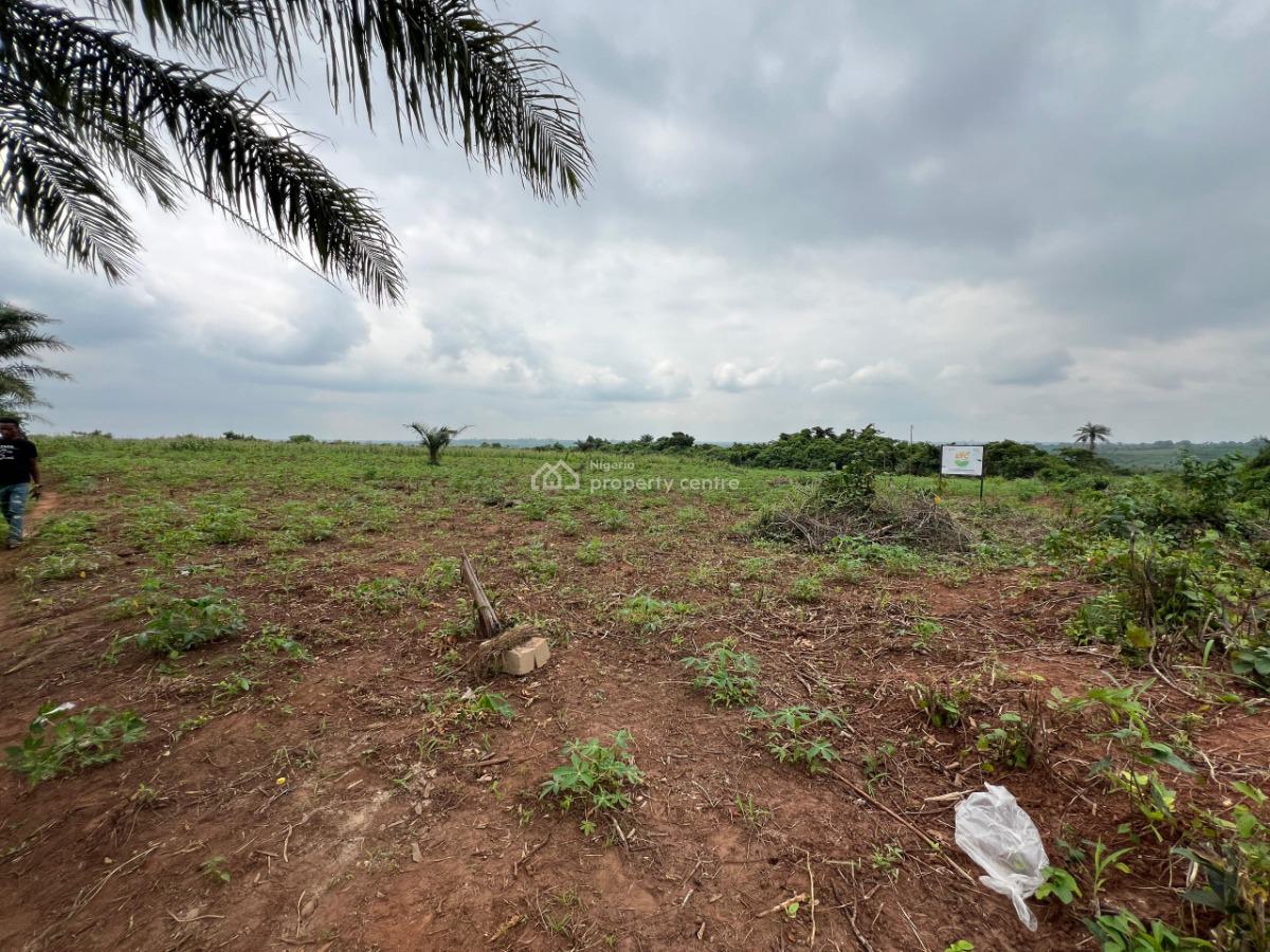 Over 100 Acres of Fertile Farmland Good for Cassava, Tomatoes, Cashew, Ewekoro, Ogun, Mixed-use Land for Sale