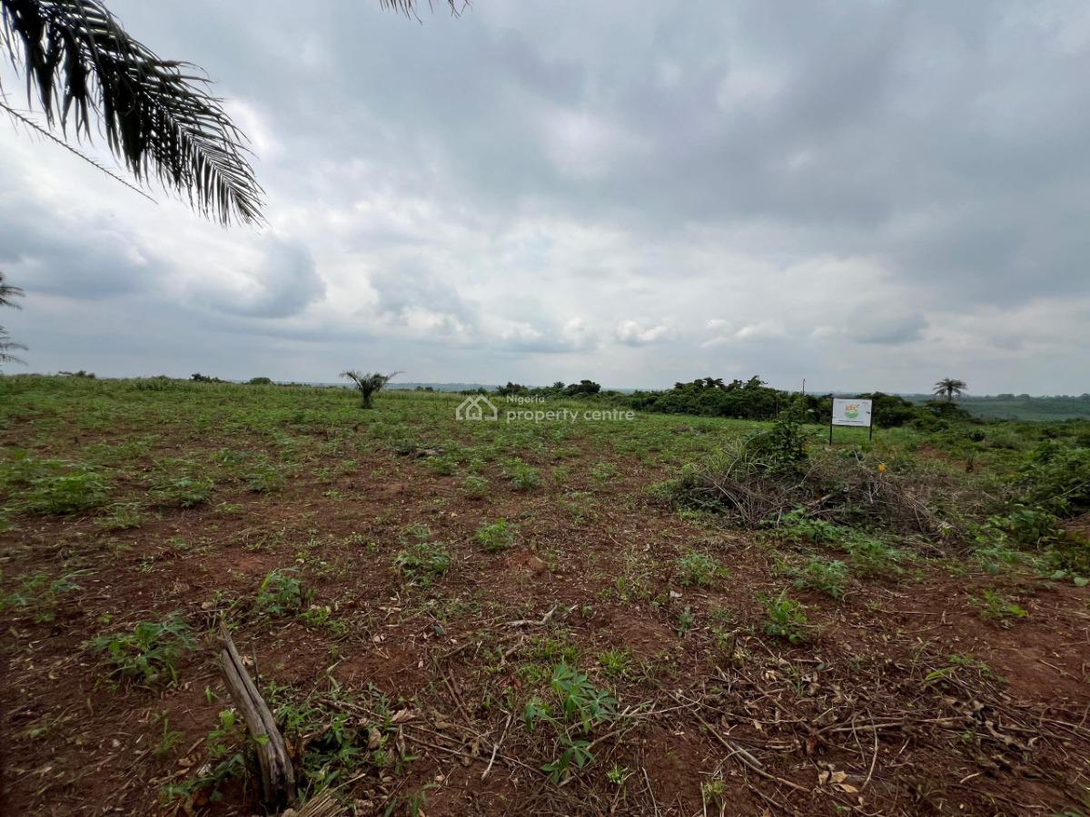 Over 100 Acres of Fertile Farmland Good for Cassava, Tomatoes, Cashew, Ewekoro, Ogun, Mixed-use Land for Sale