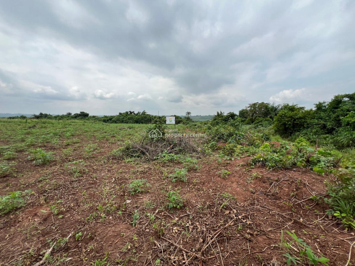 Over 100 Acres of Fertile Farmland Good for Cassava, Tomatoes, Cashew, Ewekoro, Ogun, Mixed-use Land for Sale