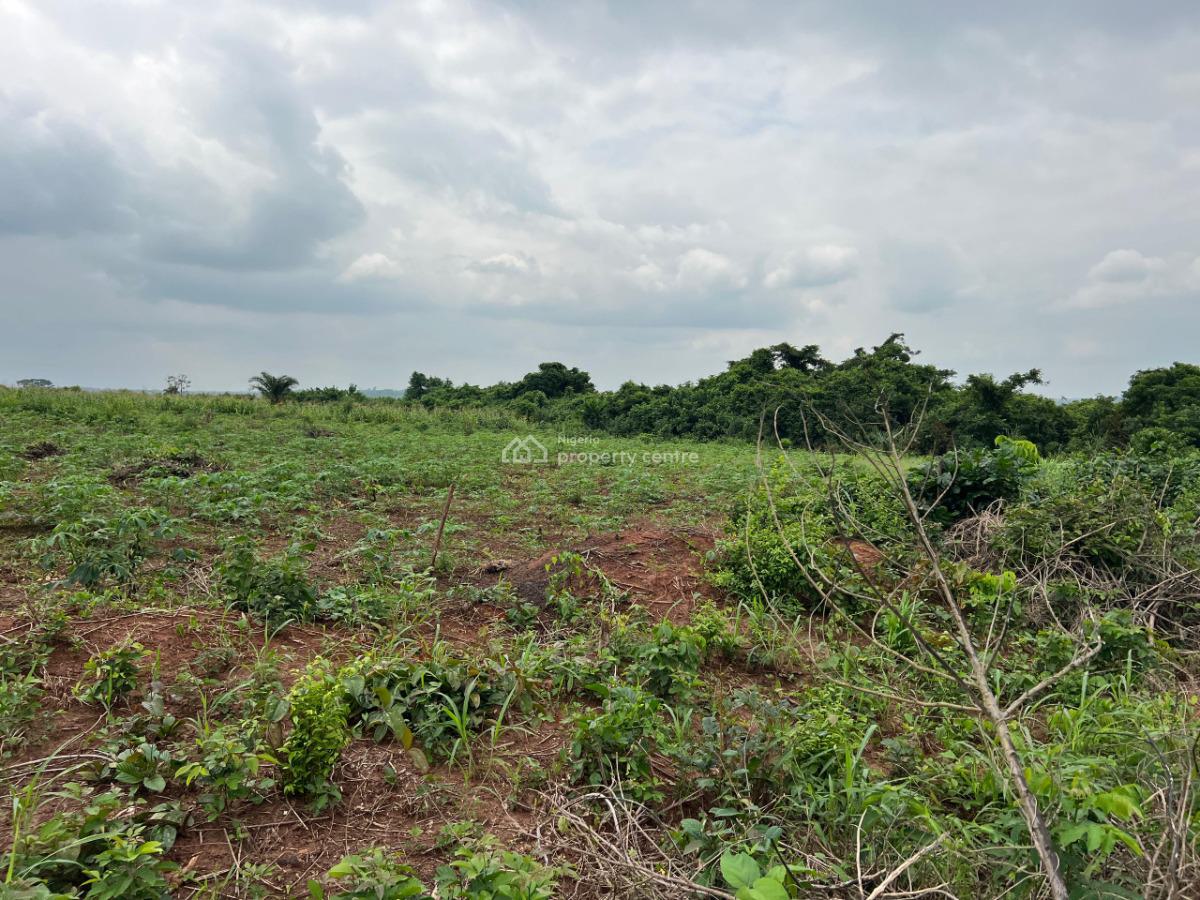 Over 100 Acres of Fertile Farmland Good for Cassava, Tomatoes, Cashew, Ewekoro, Ogun, Mixed-use Land for Sale