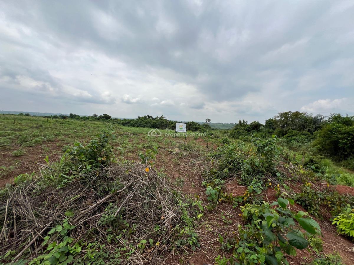 Over 150 Acres of Fertile Farmland Good for Cassava, Tomatoes, Cashew, Abeokuta North, Ogun, Commercial Land for Sale