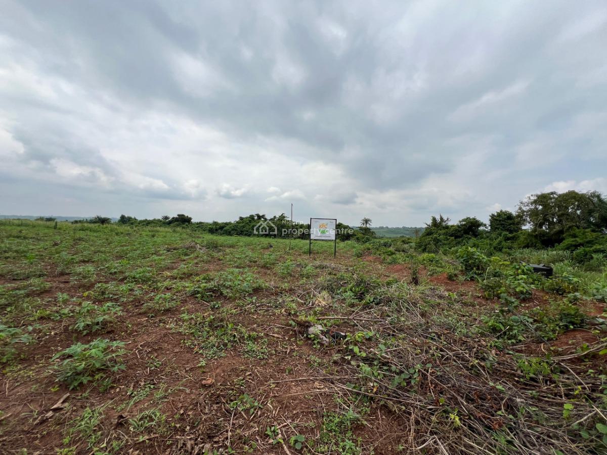 Over 150 Acres of Fertile Farmland Good for Cassava, Tomatoes, Cashew, Abeokuta North, Ogun, Commercial Land for Sale
