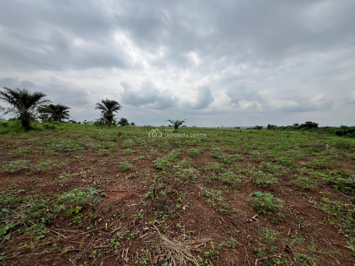 Over 150 Acres of Fertile Farmland Good for Cassava, Tomatoes, Cashew, Abeokuta North, Ogun, Commercial Land for Sale