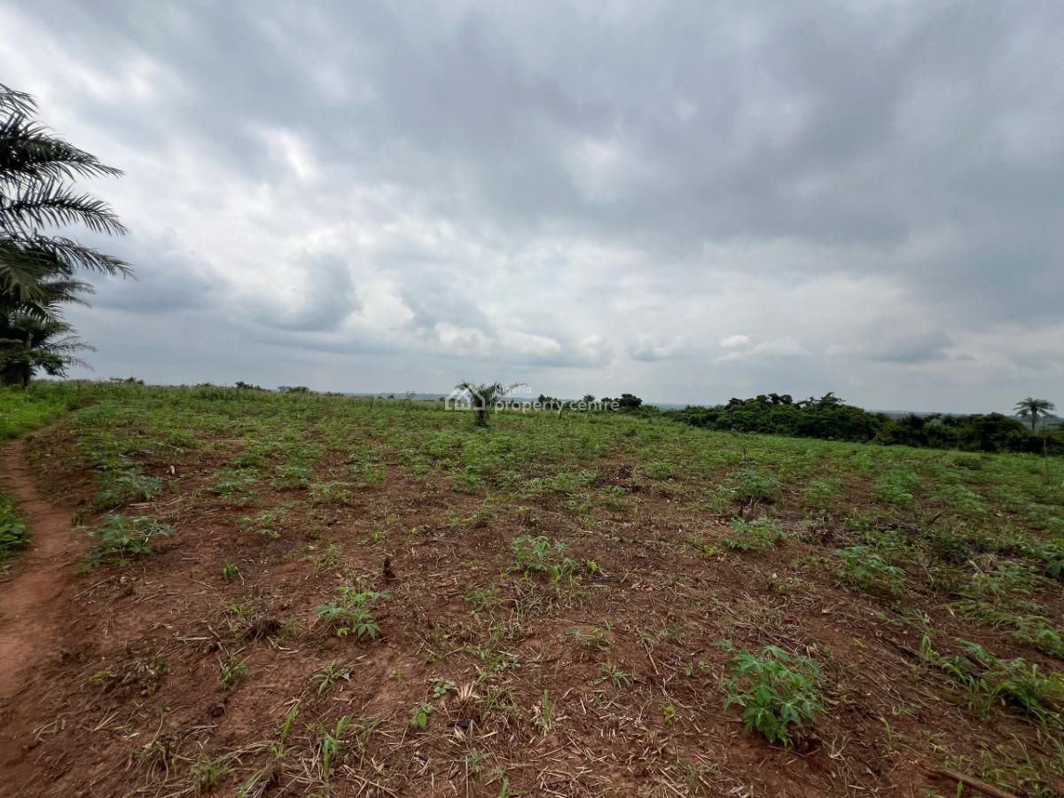 Over 200 Acres of Fertile Farmland Good for Maize, Cashew, Oil Palm, Mowe Ofada, Ogun, Mixed-use Land for Sale