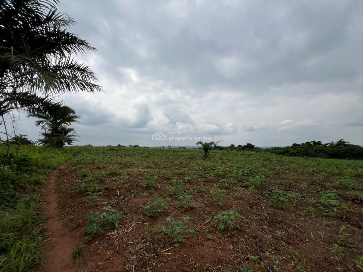 Over 200 Acres of Fertile Farmland Good for Maize, Cashew, Oil Palm, Mowe Ofada, Ogun, Mixed-use Land for Sale