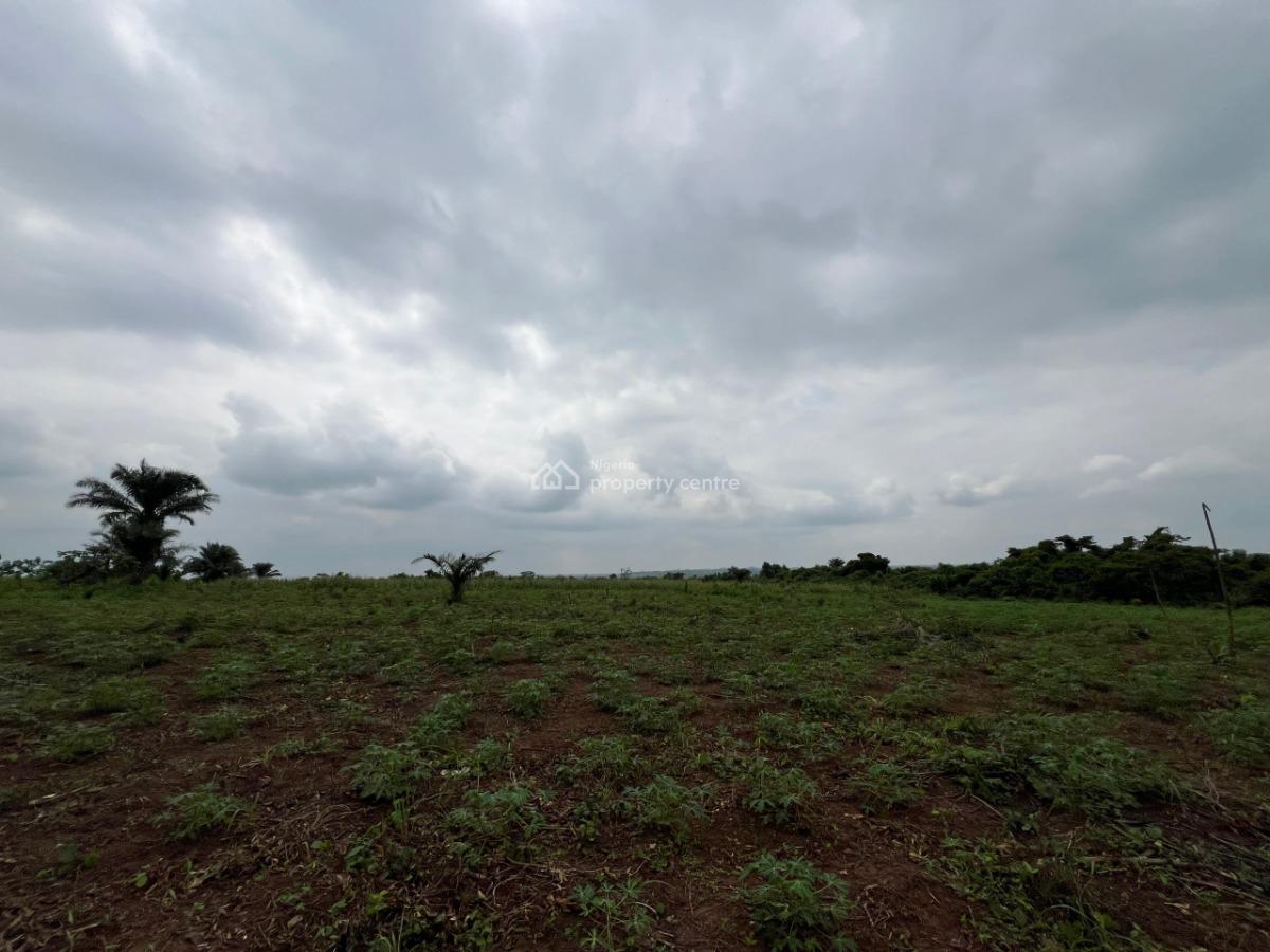 Over 200 Acres of Fertile Farmland Good for Maize, Cashew, Oil Palm, Mowe Ofada, Ogun, Mixed-use Land for Sale