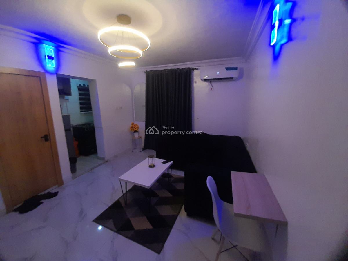 One Bedroom Apartment Fully Serviced Oasis with Housekeeping and Wifi, Surulere, Lagos, Flat / Apartment Short Let