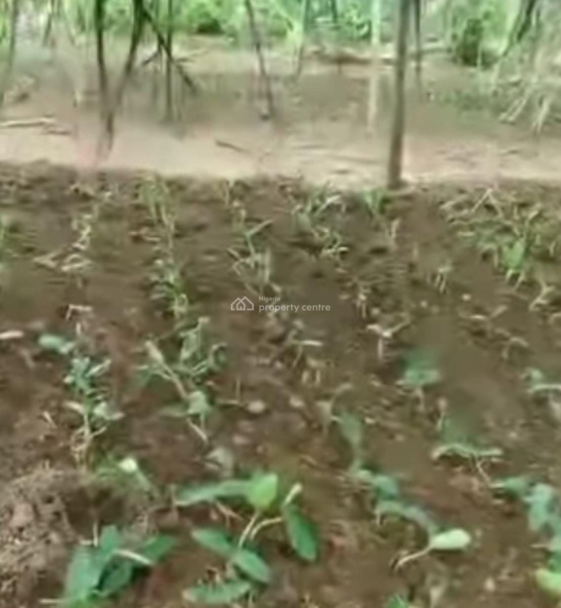 Govt Approved Farm City Estate Strategically Located, Milebrook Farm City Estate, Obafemi Owode, Ogun, Commercial Land for Sale