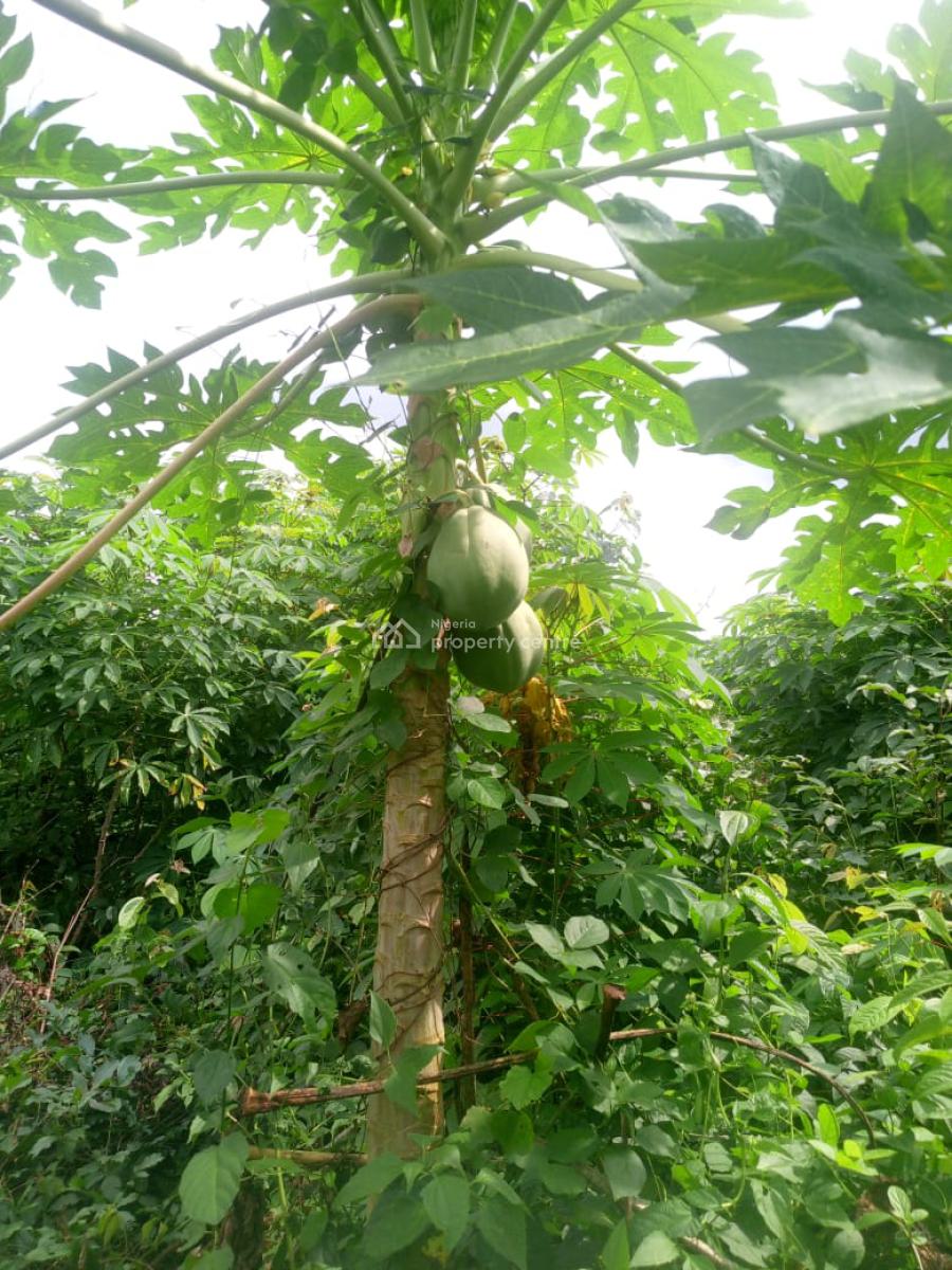 Government Approved Land Strategically Located, Milebrook Farm City Estate, Obafemi Owode, Ogun, Commercial Land for Sale