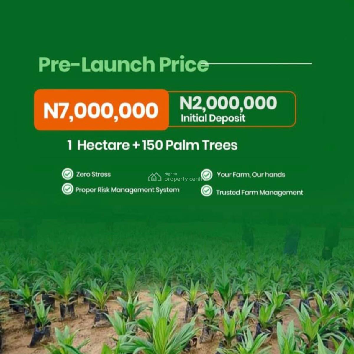 C of O Acres of Oil Palm Trees Farmlands, Igan Okoto, Olorunda, Yewa North, Ogun, Land for Sale