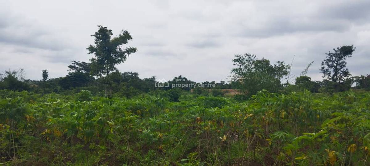 Land, Emene, Enugu, Enugu, Mixed-use Land for Sale