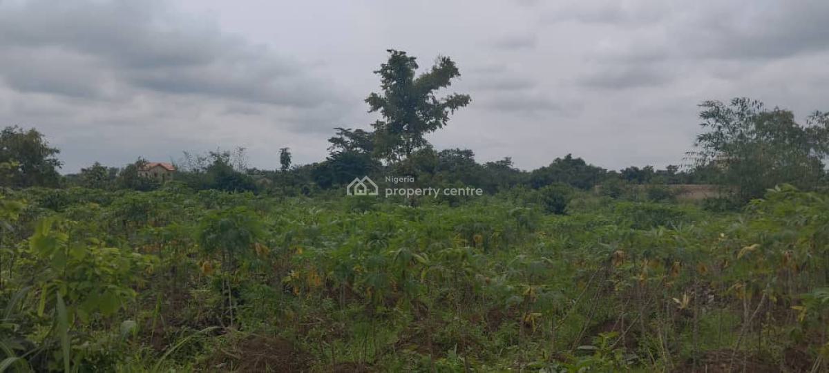 Land, Emene, Enugu, Enugu, Mixed-use Land for Sale