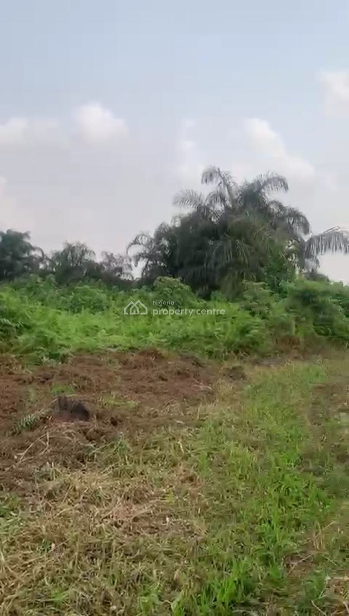 Standard Full Plot with Registered Survey, Lasu-igando Road, Igando, Ikotun, Lagos, Residential Land for Sale