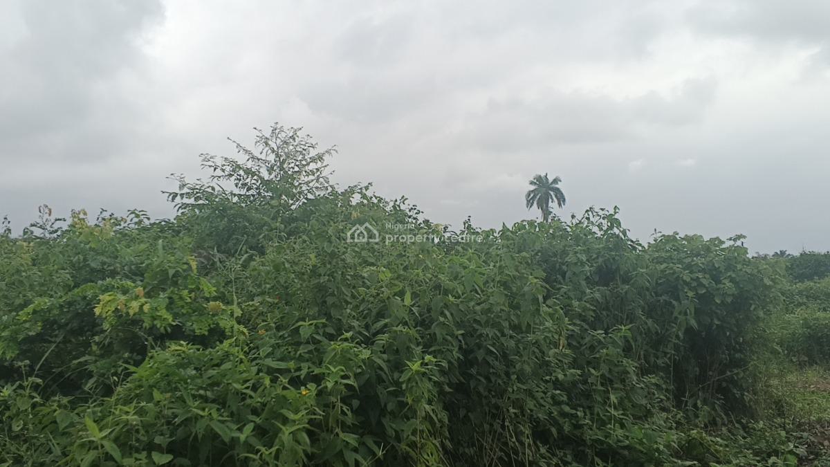 Land Measuring 1 Acres, Igbooye Ilara, Epe, Lagos, Mixed-use Land for Sale