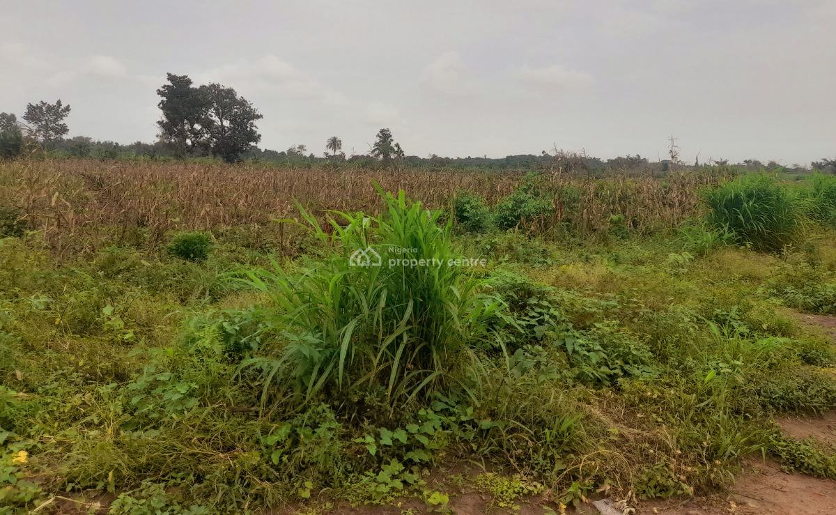 C of O Half and Full Plots of Lands in Igbogbo, Ikorodu Lagos, Half, Full and Acres of Lands at Igbogbo, Ikorodu, Lagos, Residential Land for Sale
