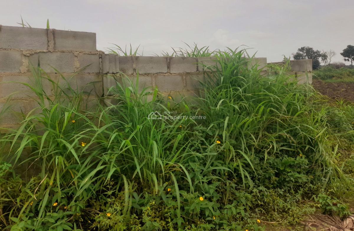 C of O Half and Full Plots of Lands in Igbogbo, Ikorodu Lagos, Half, Full and Acres of Lands at Igbogbo, Ikorodu, Lagos, Residential Land for Sale