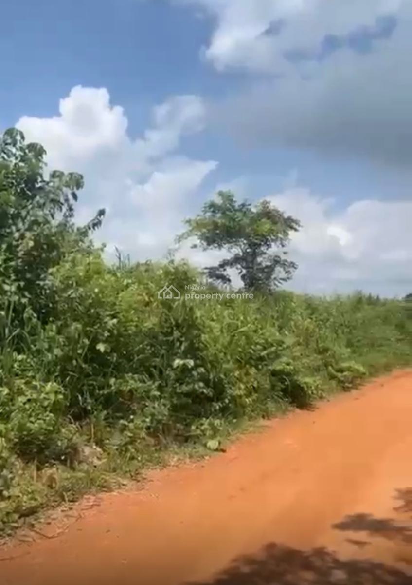2 Acres of Land, Ibogun, Ifo, Ogun, Land for Sale