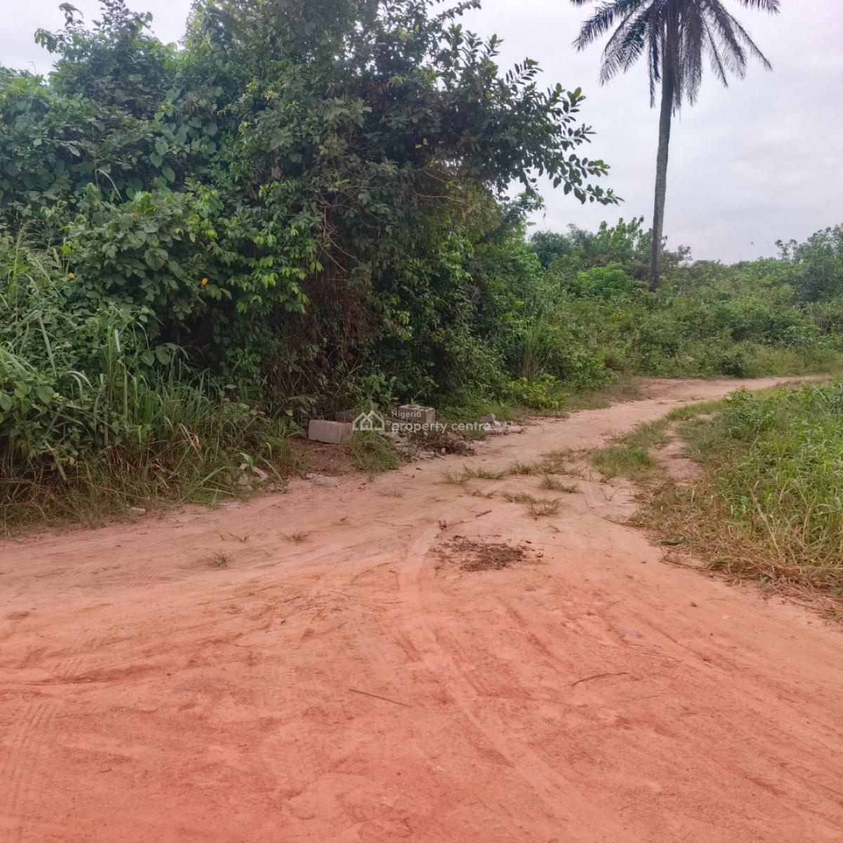 50 Acres of Dry Land in a Perfect Location, Isinwo, Ijebu Ode, Ogun, Mixed-use Land for Sale