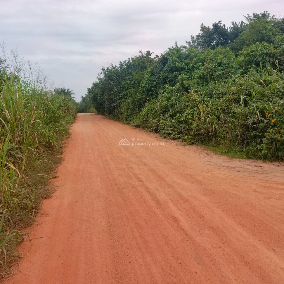 50 Acres of Dry Land in a Perfect Location, Isinwo, Ijebu Ode, Ogun, Mixed-use Land for Sale