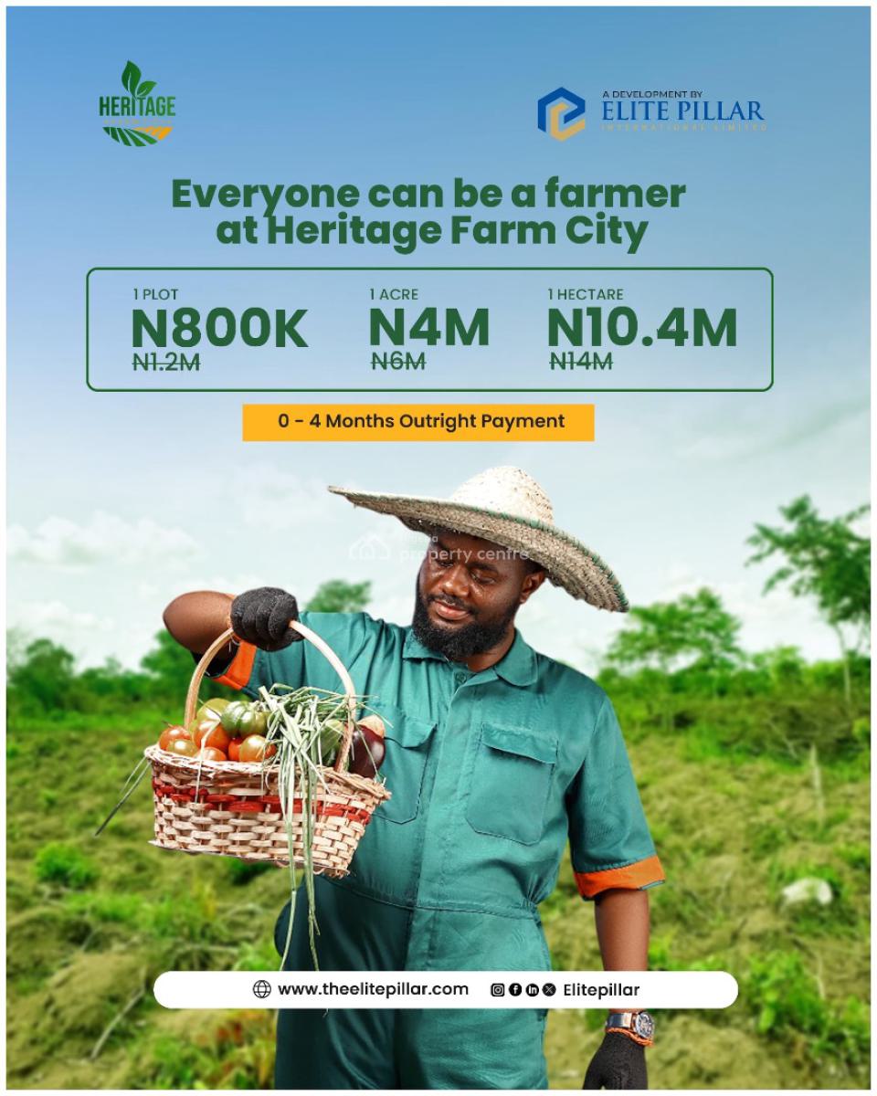 Buy and Get Into Agriculture Because Is The Secret in Making Millions, Sweet Juicy Offer Buy 5 & Get 1 Free,odeda Lga,off Funnab Road Alabata, Abeokuta South, Ogun, Land for Sale