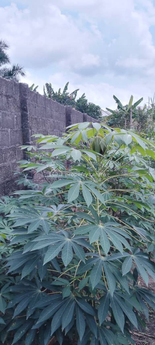 Standard 1 and Quarter Plot, Fence with Gate, Igba Estate, Rumuduru, Port Harcourt, Rivers, Residential Land for Sale
