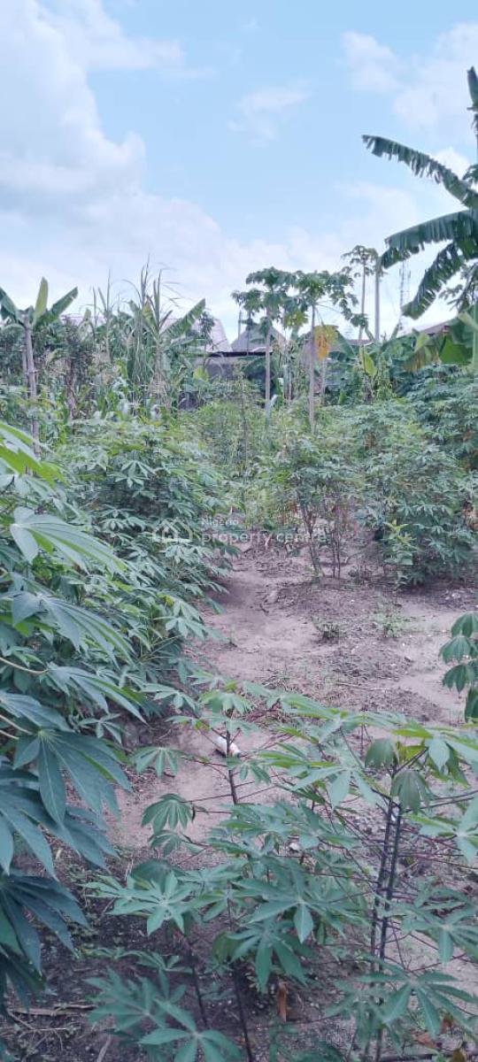 Standard 1 and Quarter Plot, Fence with Gate, Igba Estate, Rumuduru, Port Harcourt, Rivers, Residential Land for Sale