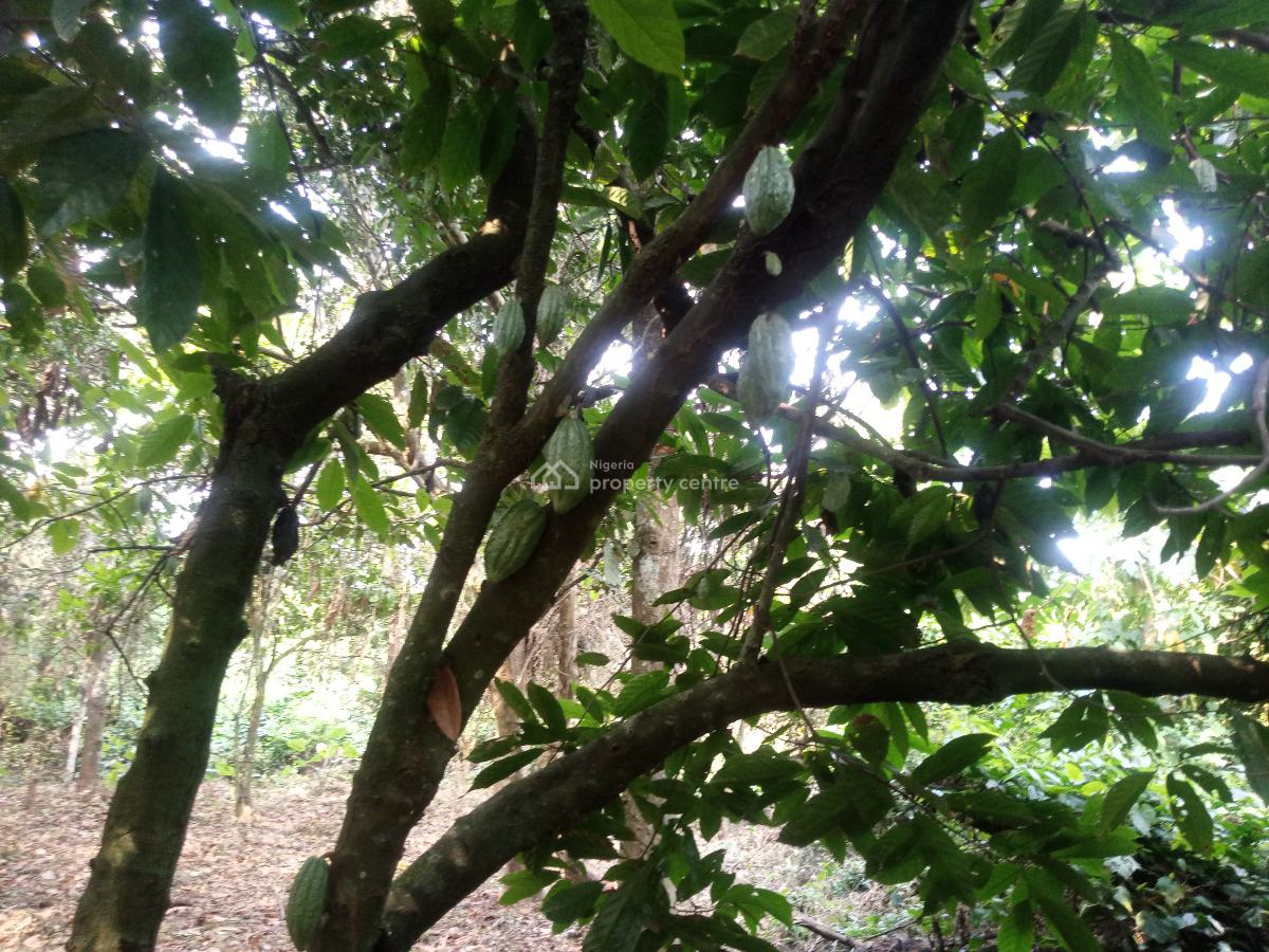 (6 Plots,1 Acre )   120 Cocoa Trees, Cocoa Farm City Village, Obafemi Owode, Ogun, Commercial Land for Sale