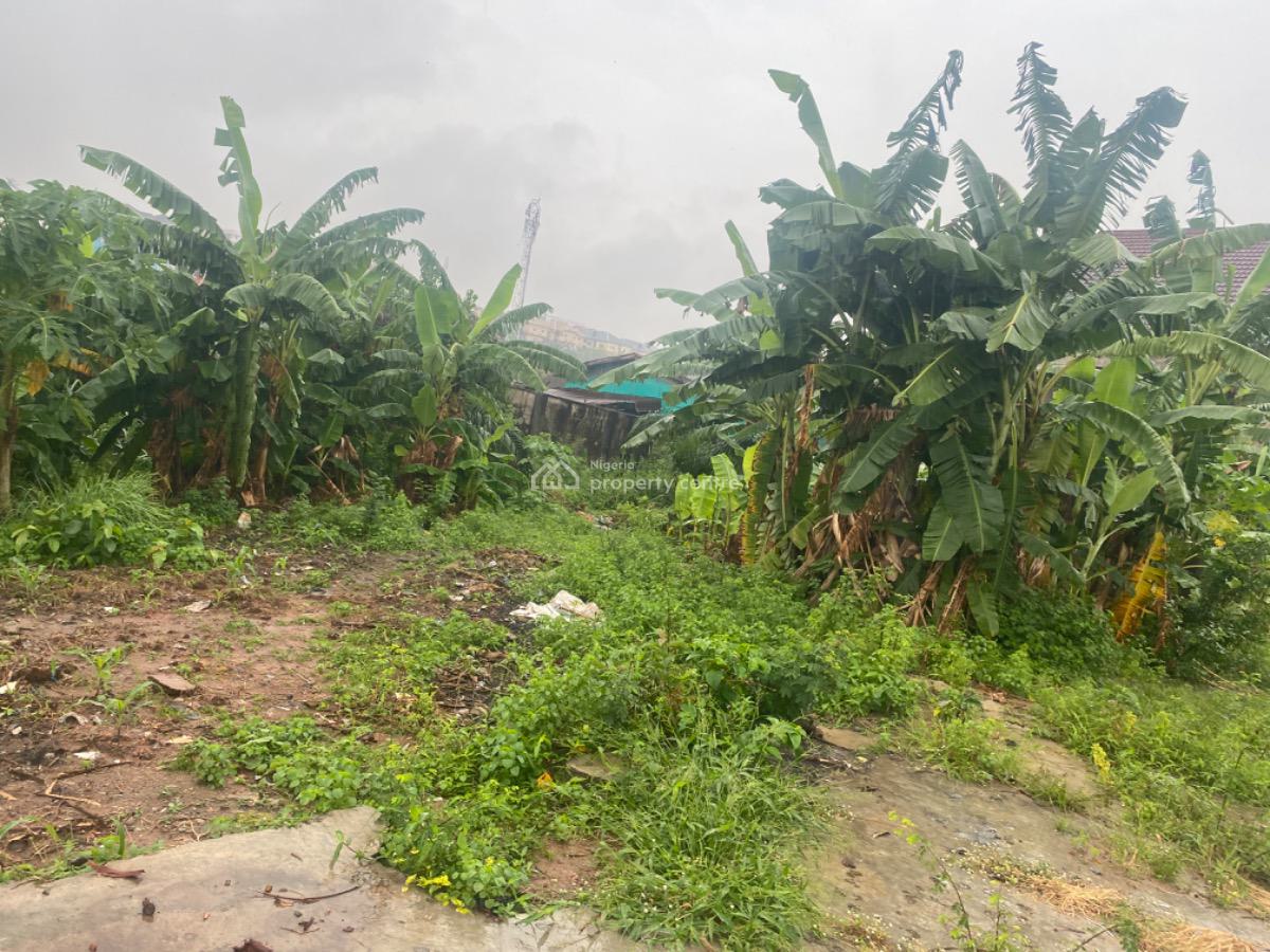 9 Bedroom Duplex, Omotayo Ojo, Ikosi, Ketu, Lagos, Detached Duplex for Sale
