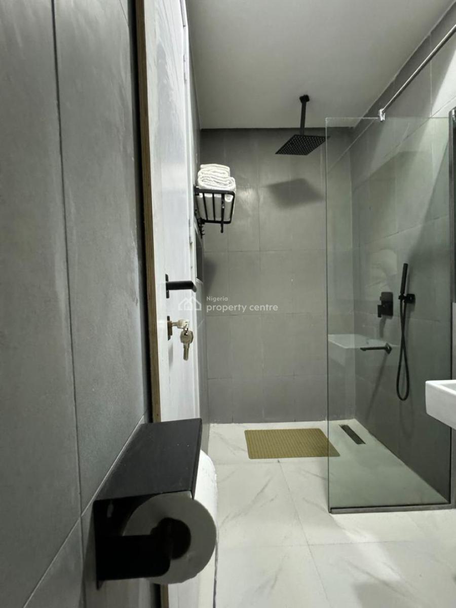 2 Bedrooms Fully Furnished Apartment with  Pool, Gym and Elevator, Ikate Elegushi, Lekki, Lagos, Flat / Apartment for Sale