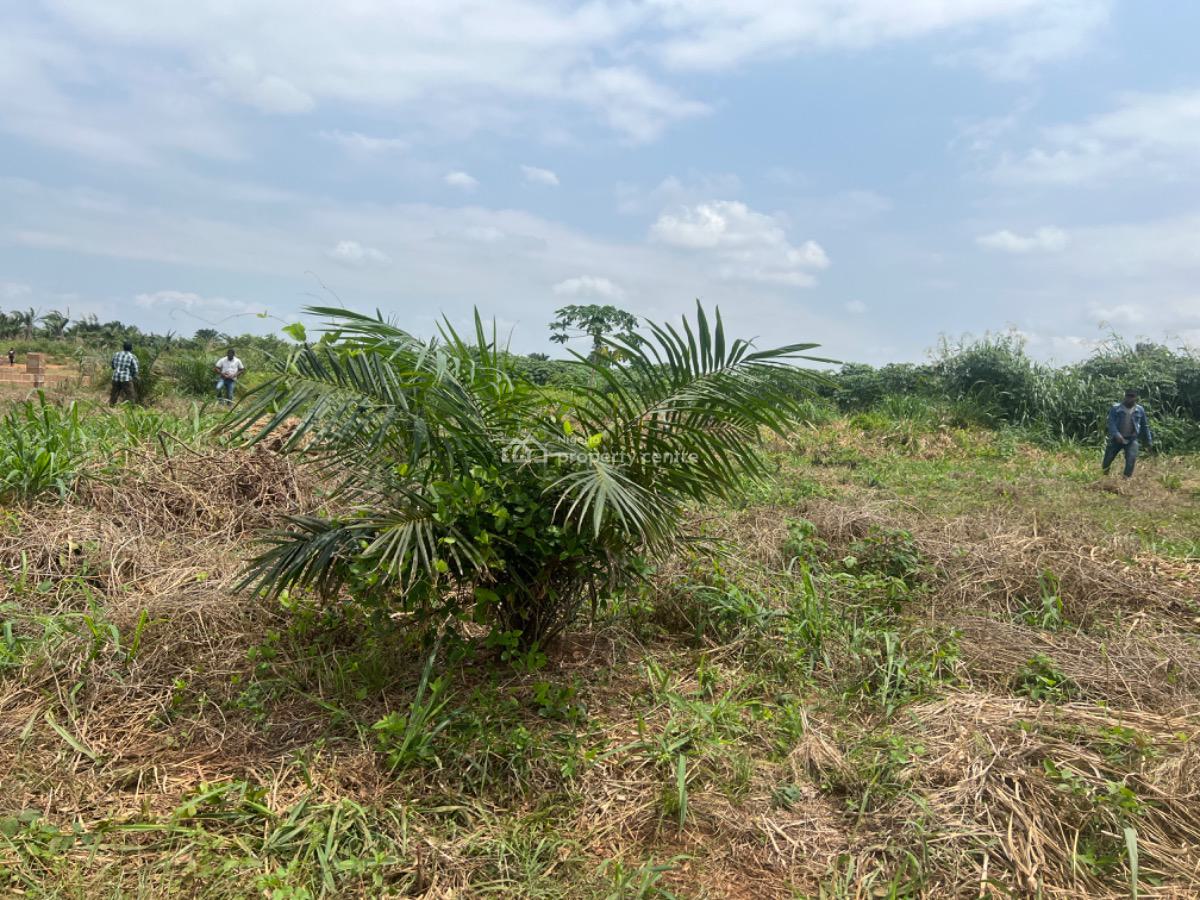 Earn Passively Own a Mini Oil Palm Plantation an Affordable Acre, Ibese, Ewekoro, Ogun, Commercial Land for Sale