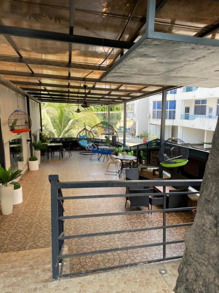 Luxury Finished 2 Bedroom Pent House Flat with Bq, Asokoro Main, Asokoro District, Abuja, Flat / Apartment for Rent