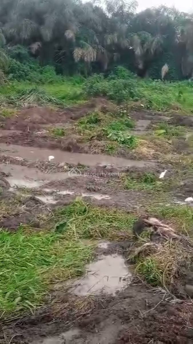 Full Plot of Land, Isawo, Agric, Ikorodu, Lagos, Residential Land for Sale