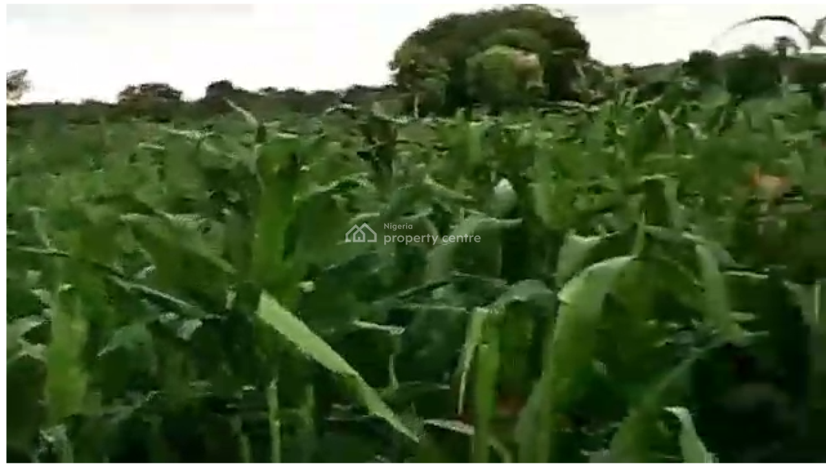 14 Hectares Farm Land, Karo, Karshi, Nasarawa, Mixed-use Land for Sale