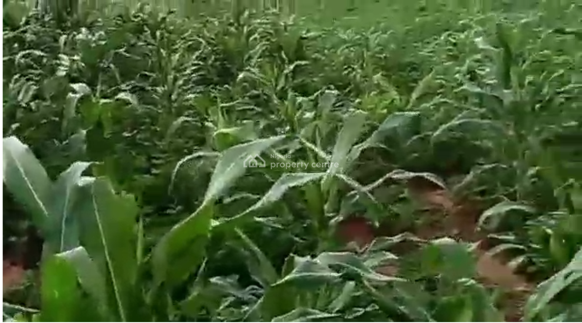 14 Hectares Farm Land, Karo, Karshi, Nasarawa, Mixed-use Land for Sale