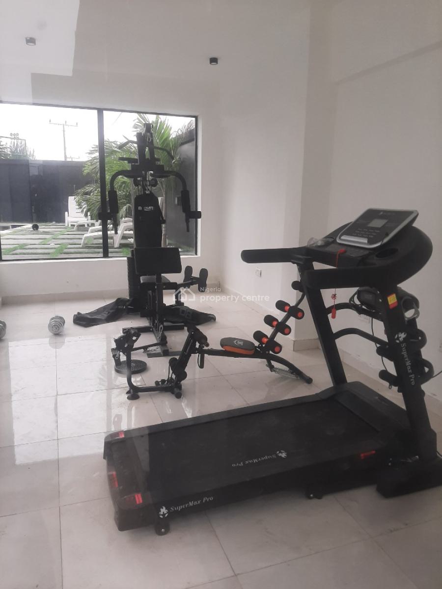 Newly Built and Tastefully Finished and Serviced with 24/7 Power Supply, Ikate Elegushi, Lekki, Lagos, House for Sale