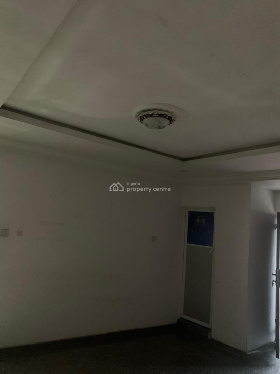 Astonished Mini Flat, Off Aborishade Street, Surulere, Lagos, Flat / Apartment for Rent