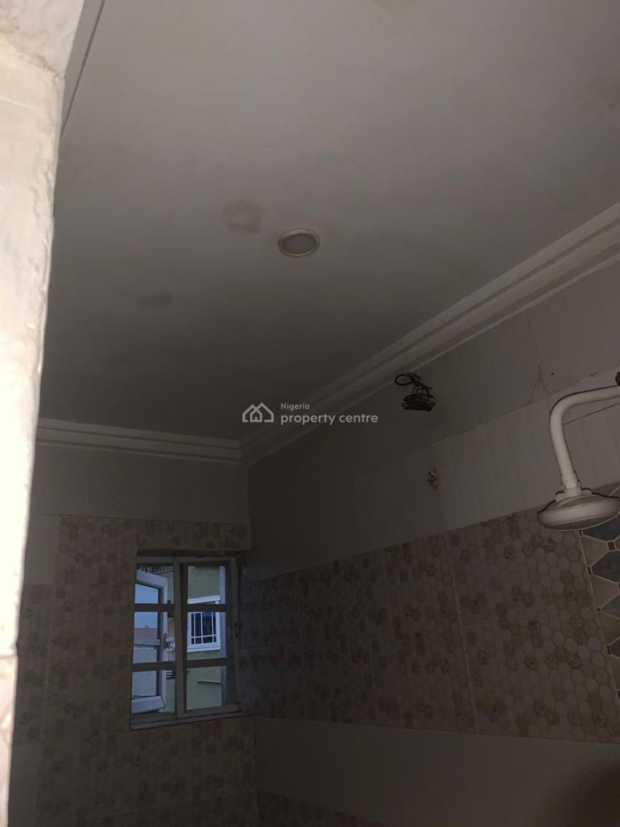 Astonished Mini Flat, Off Aborishade Street, Surulere, Lagos, Flat / Apartment for Rent